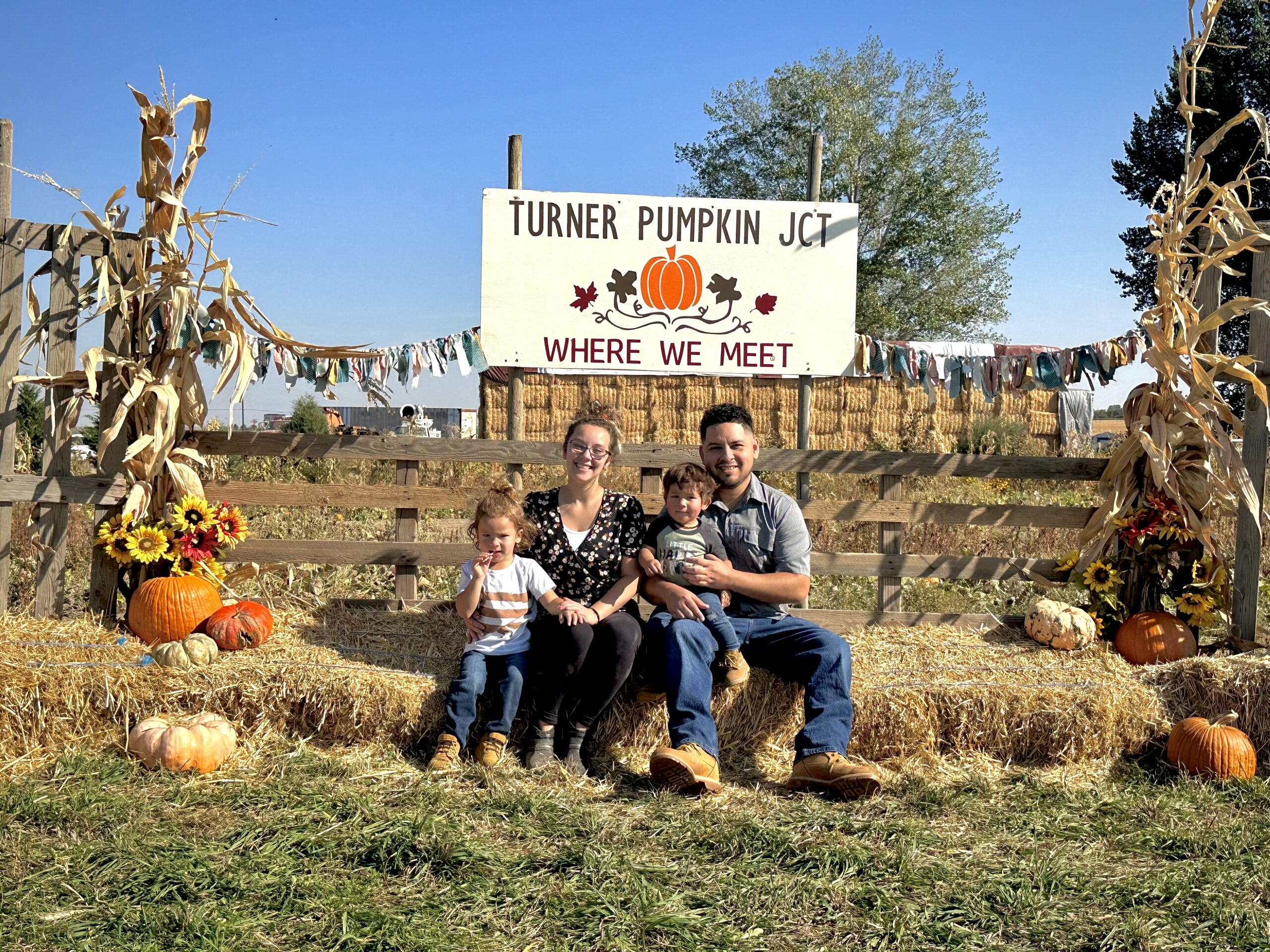 Turner Pumpkin Junction 136
