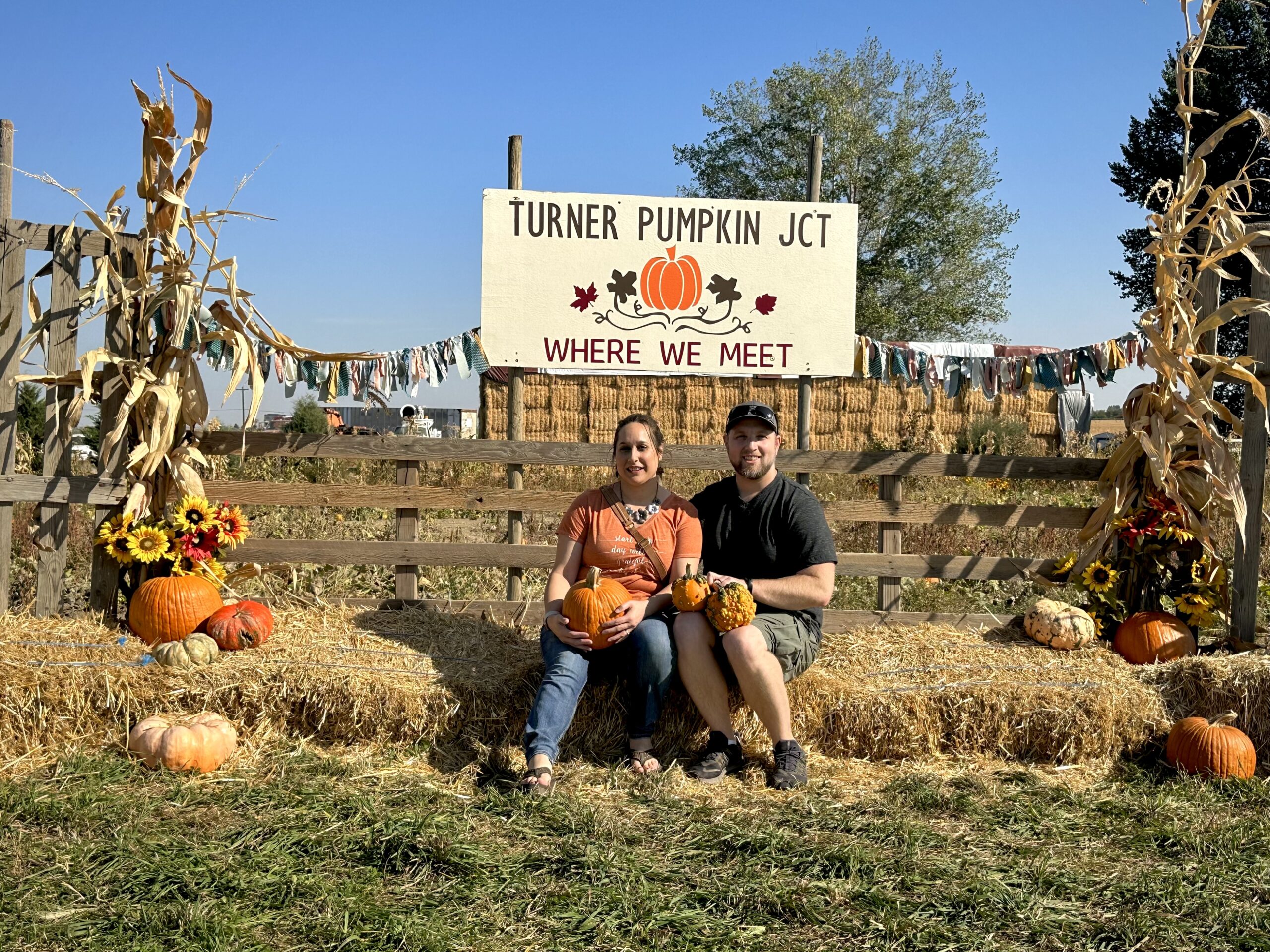 Turner Pumpkin Junction 144
