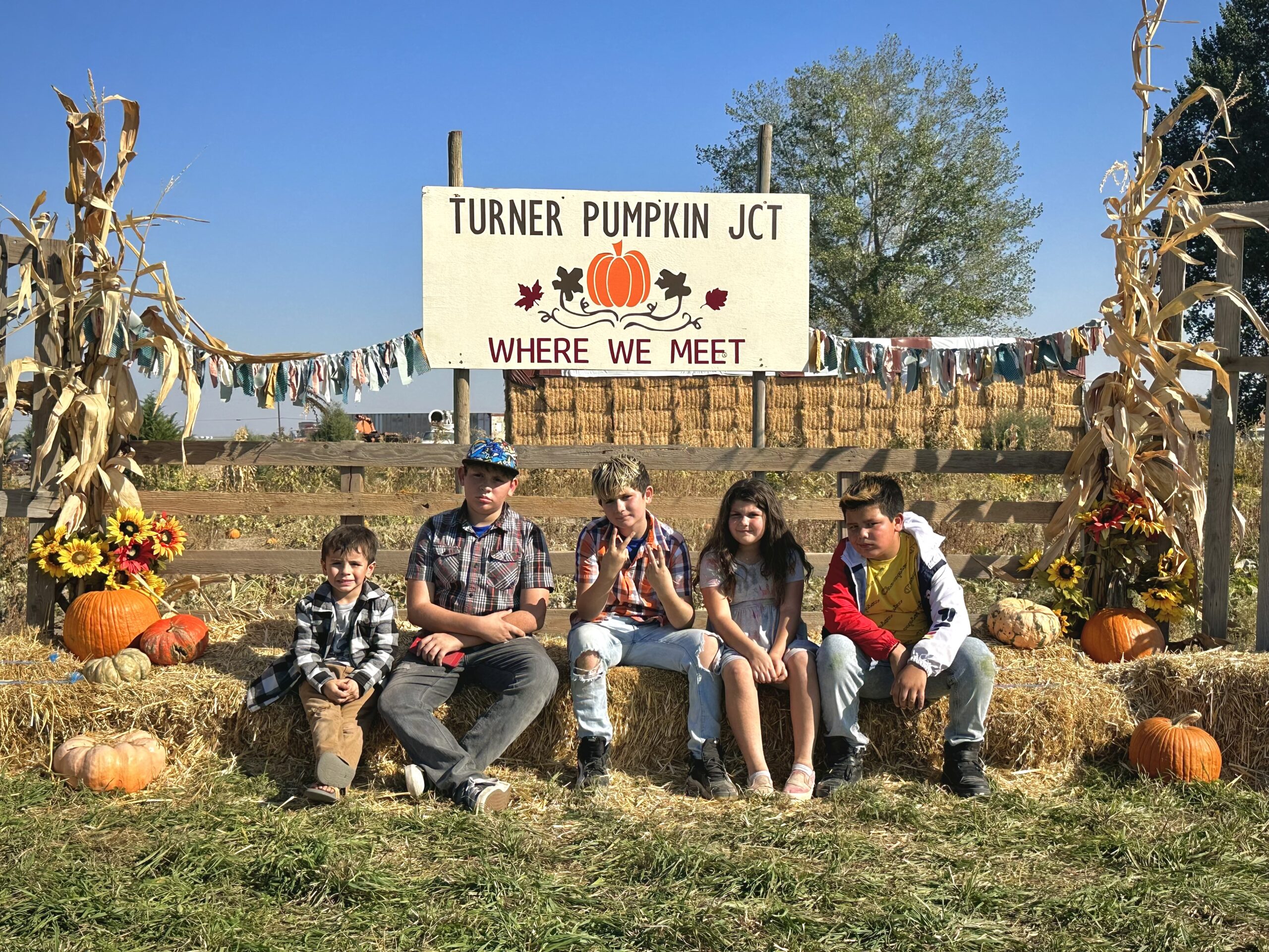 Turner Pumpkin Junction 146
