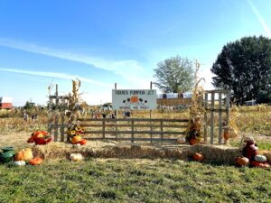 Turner pumpkin junction -001 (1)