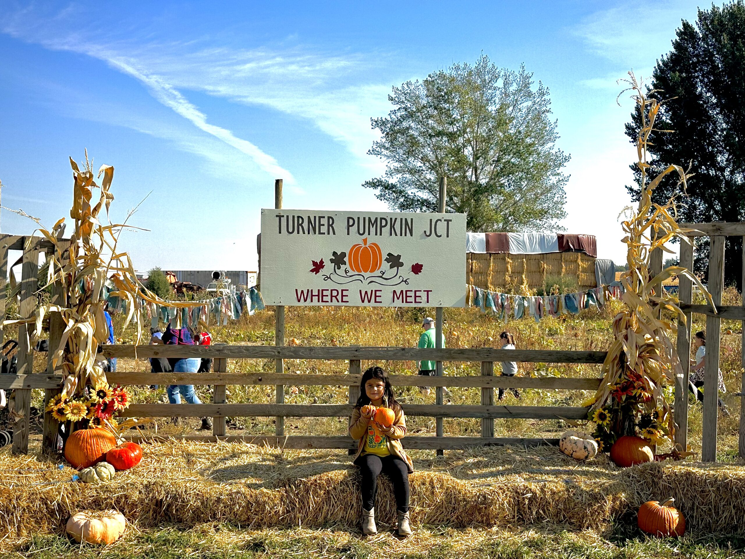 Turner pumpkin junction -030