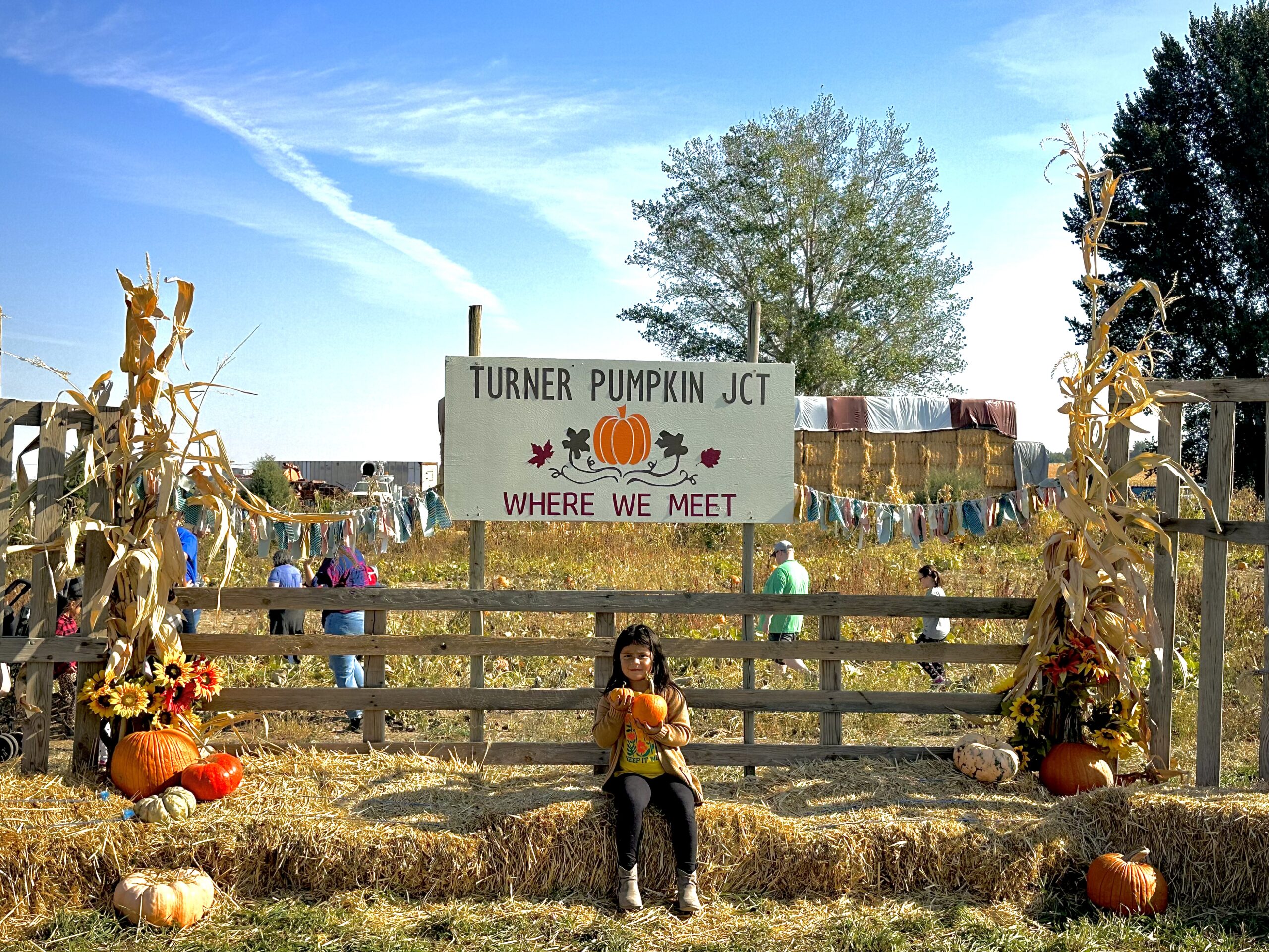 Turner pumpkin junction -031