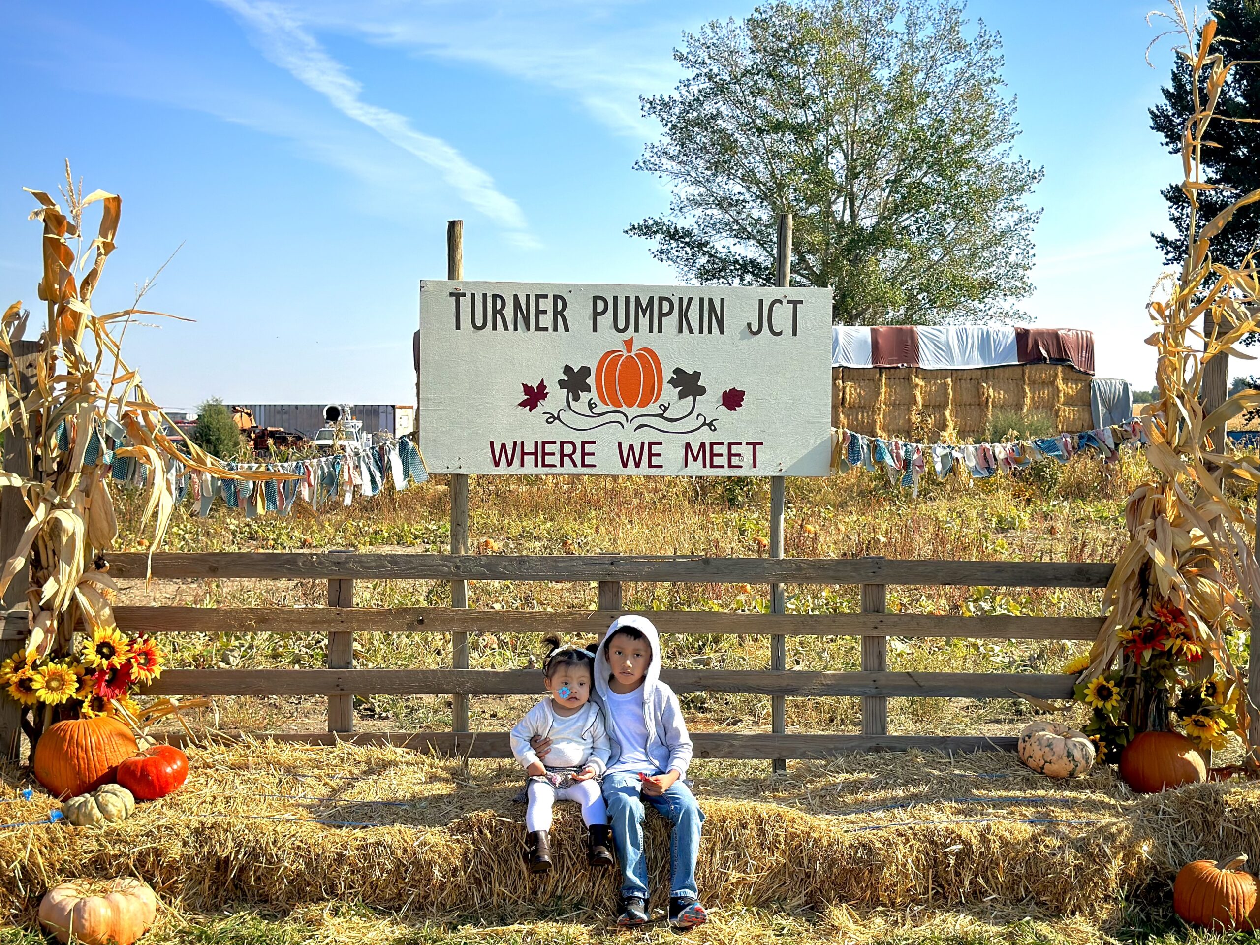 Turner pumpkin junction -032