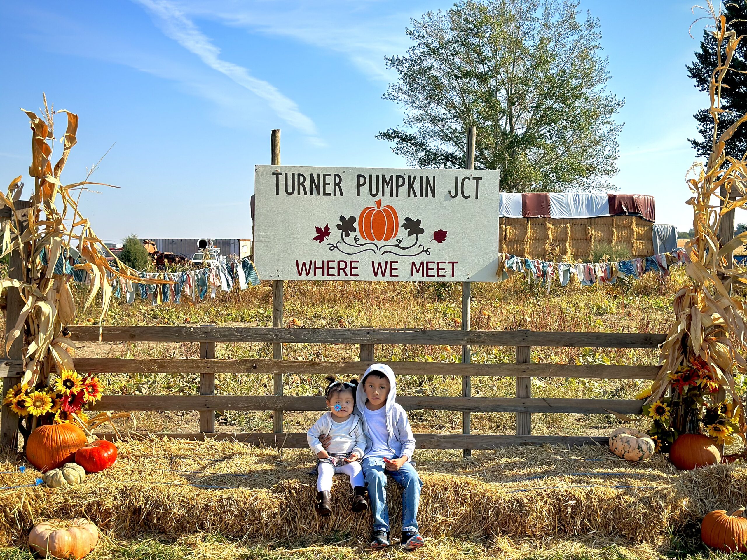 Turner pumpkin junction -033