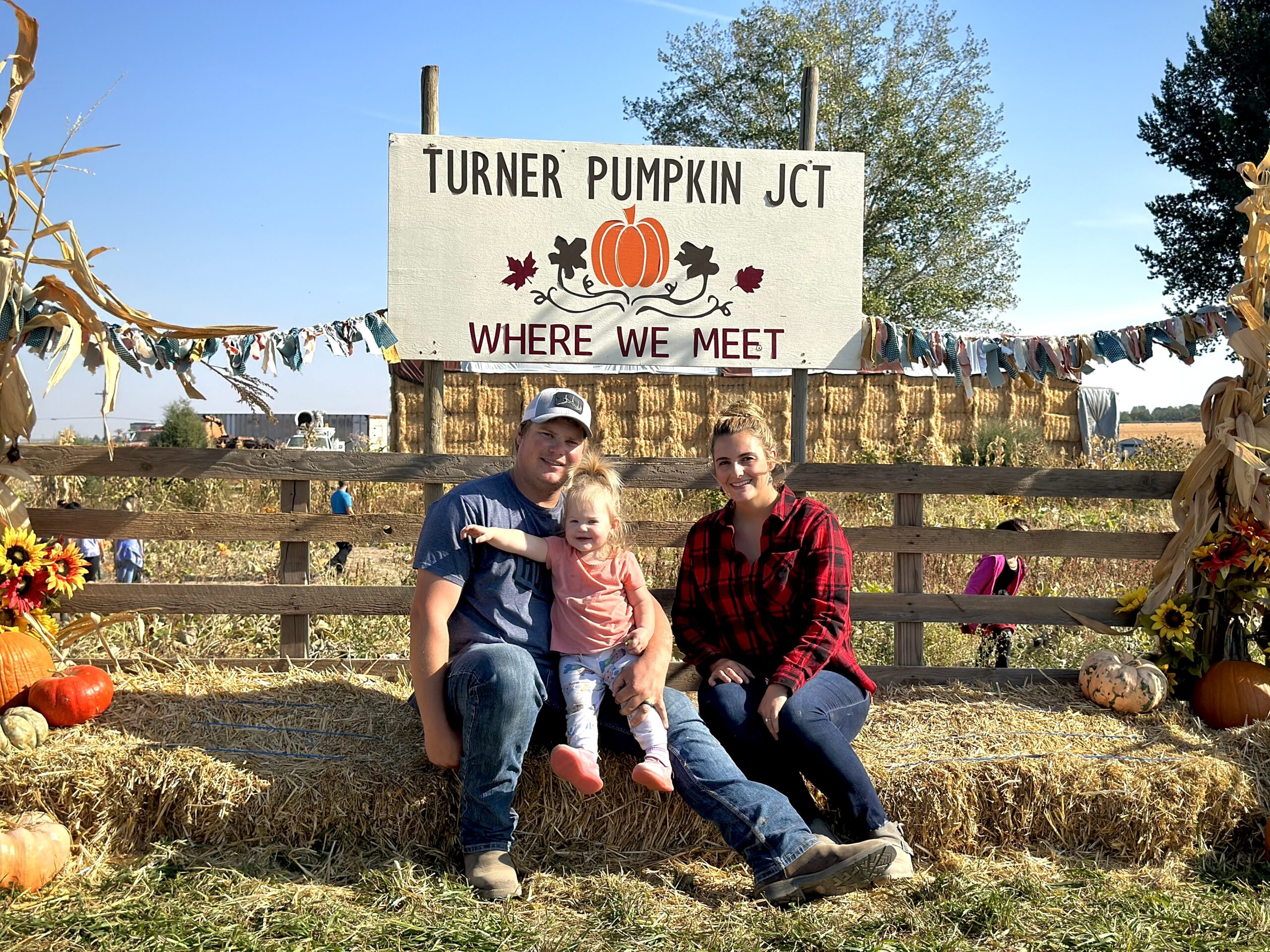 Turner pumpkin junction -065