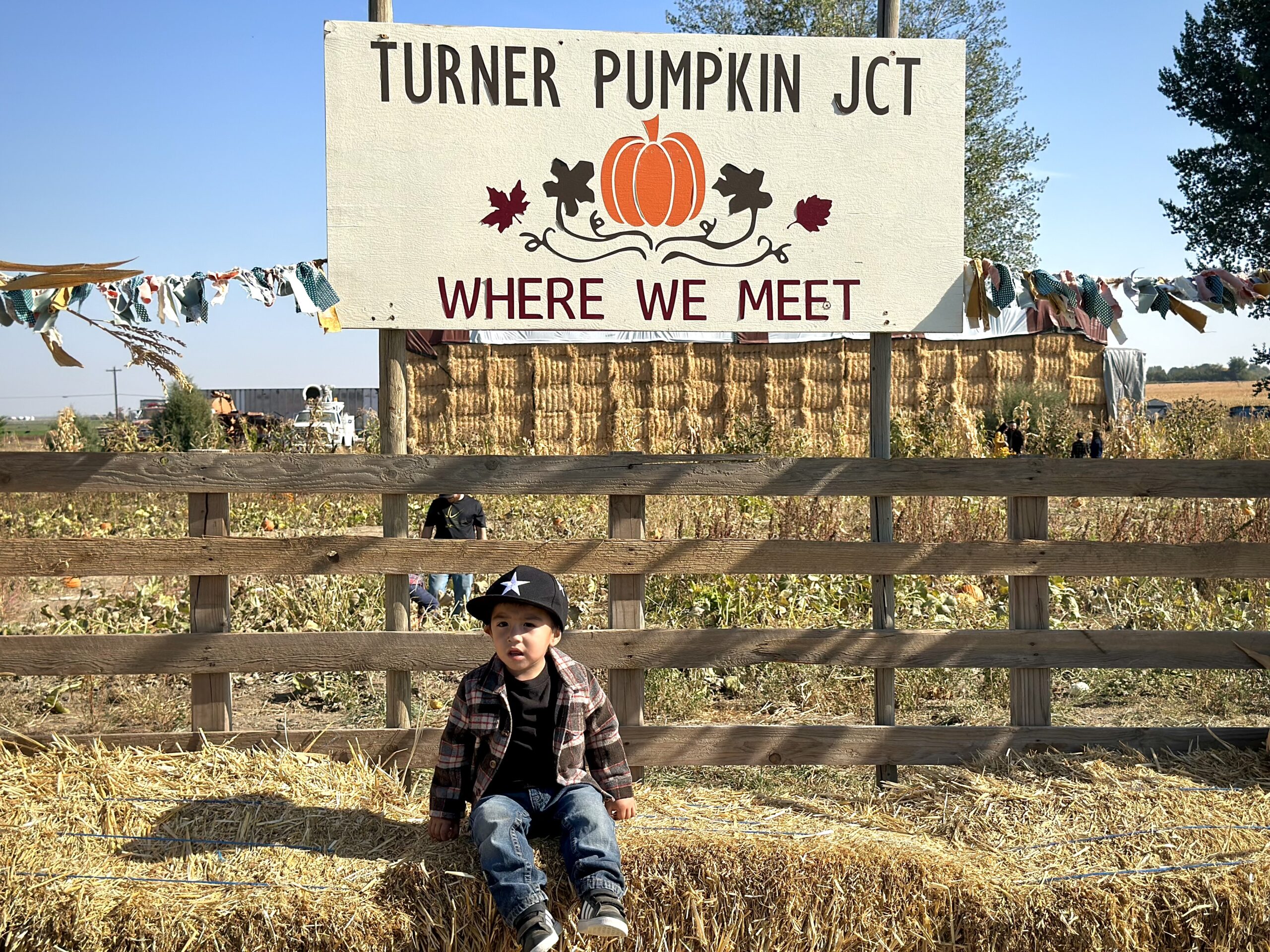 Turner pumpkin junction -075