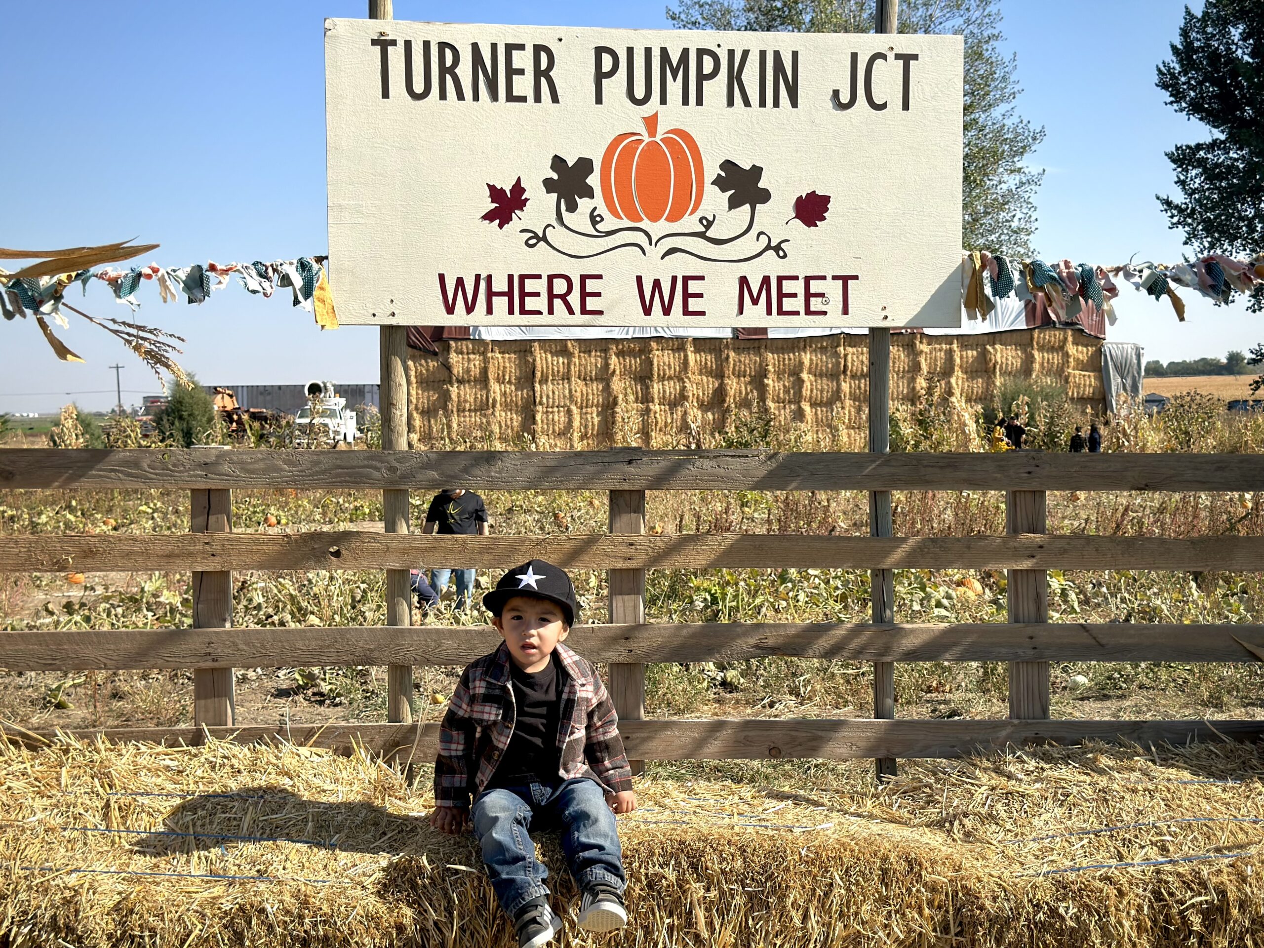 Turner pumpkin junction -076