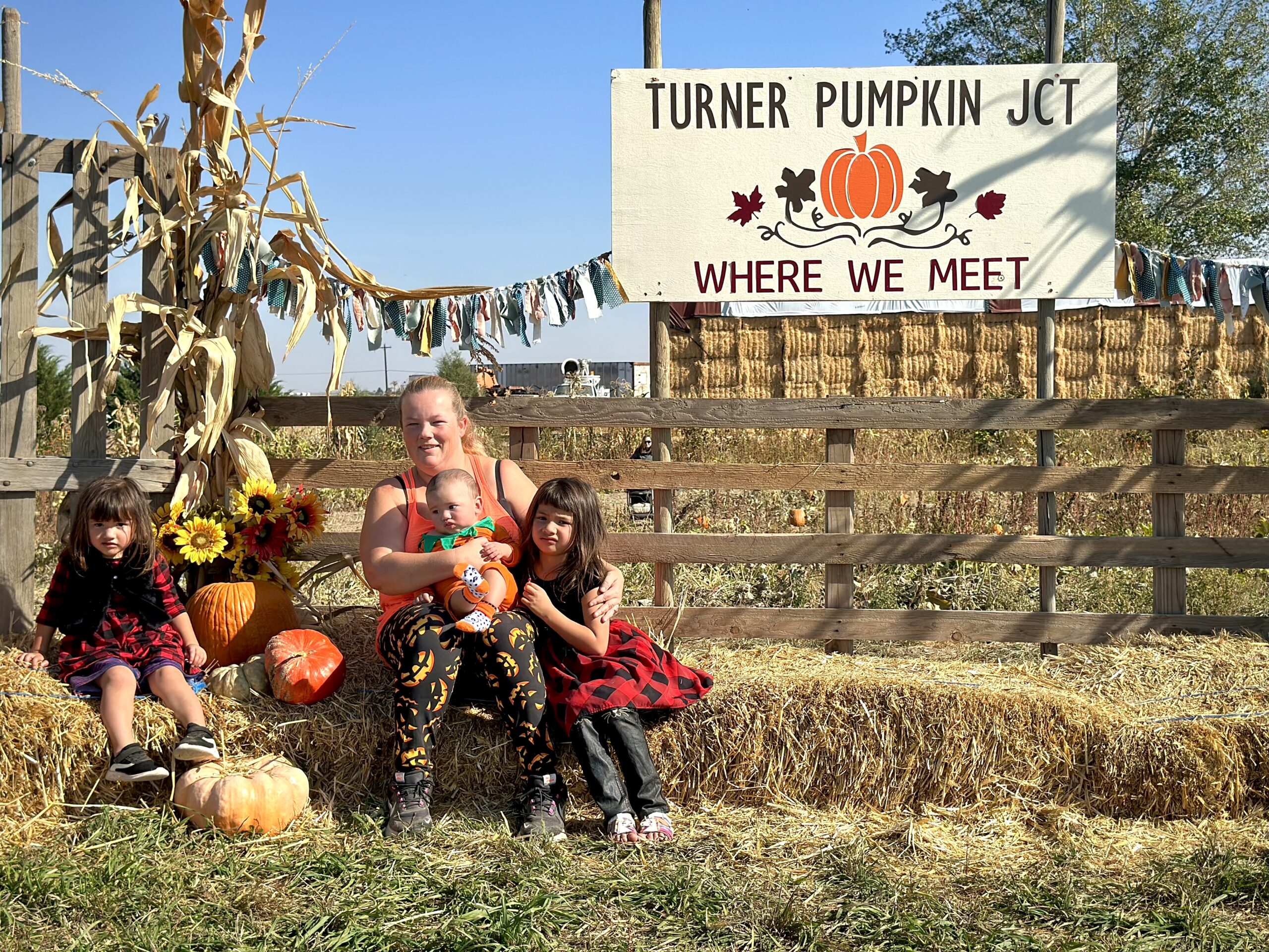 Turner pumpkin junction -088