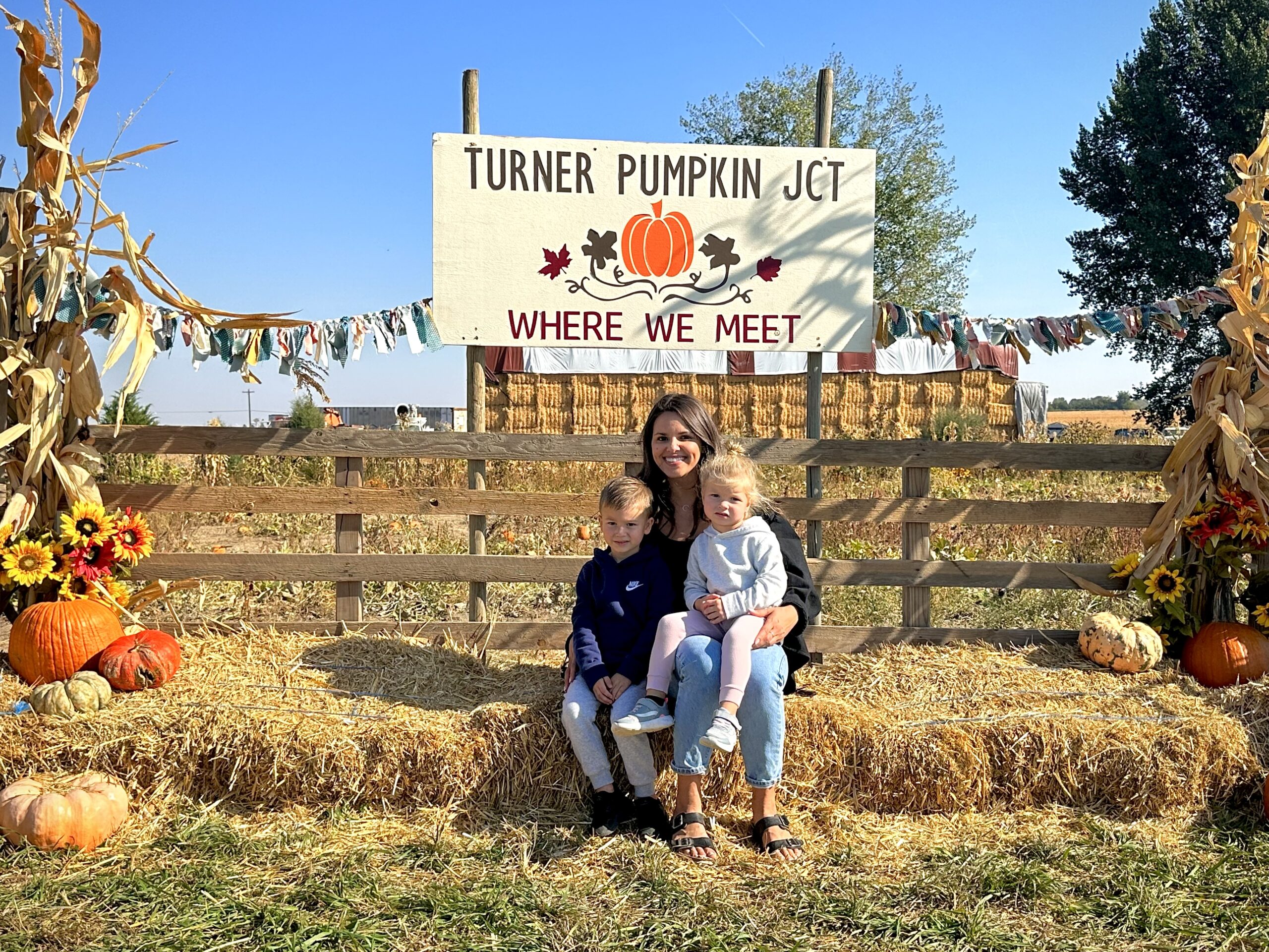 Turner pumpkin junction -090