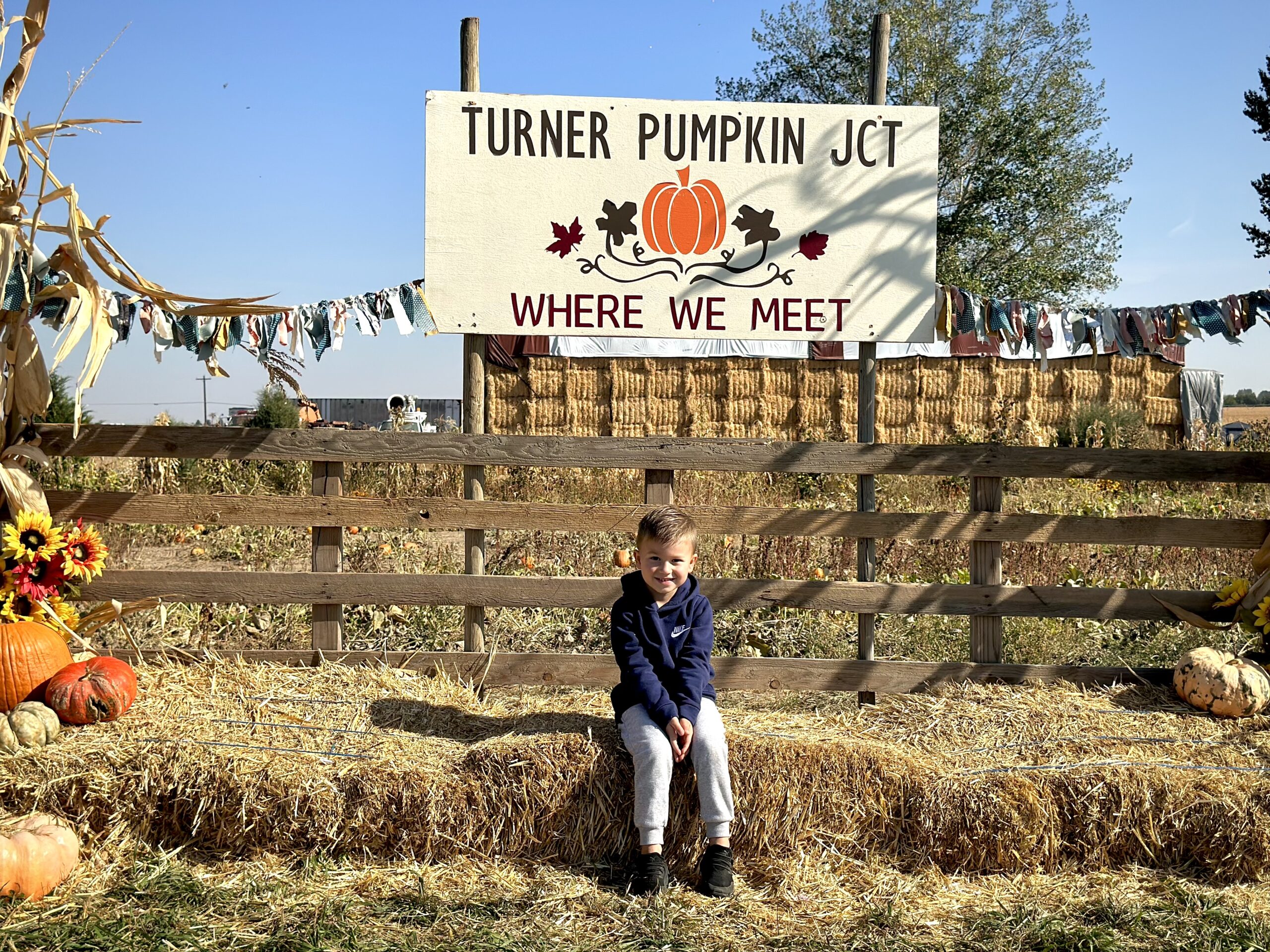 Turner pumpkin junction -096