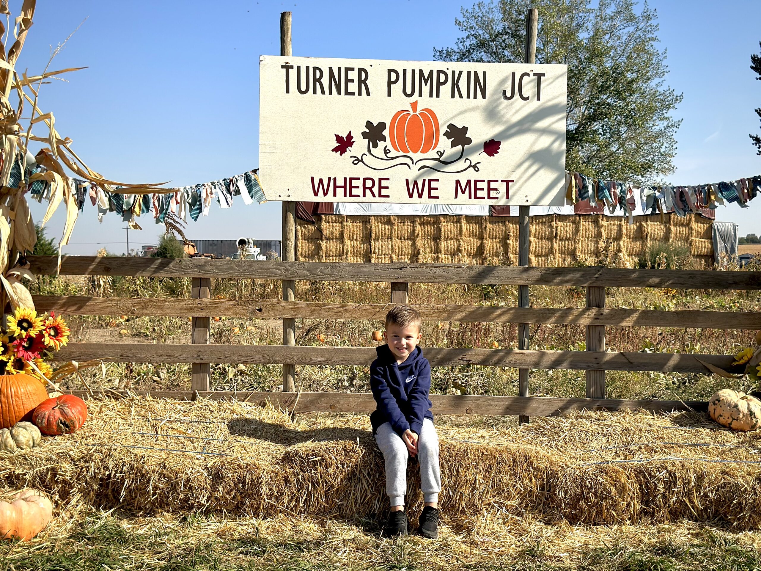 Turner pumpkin junction -097