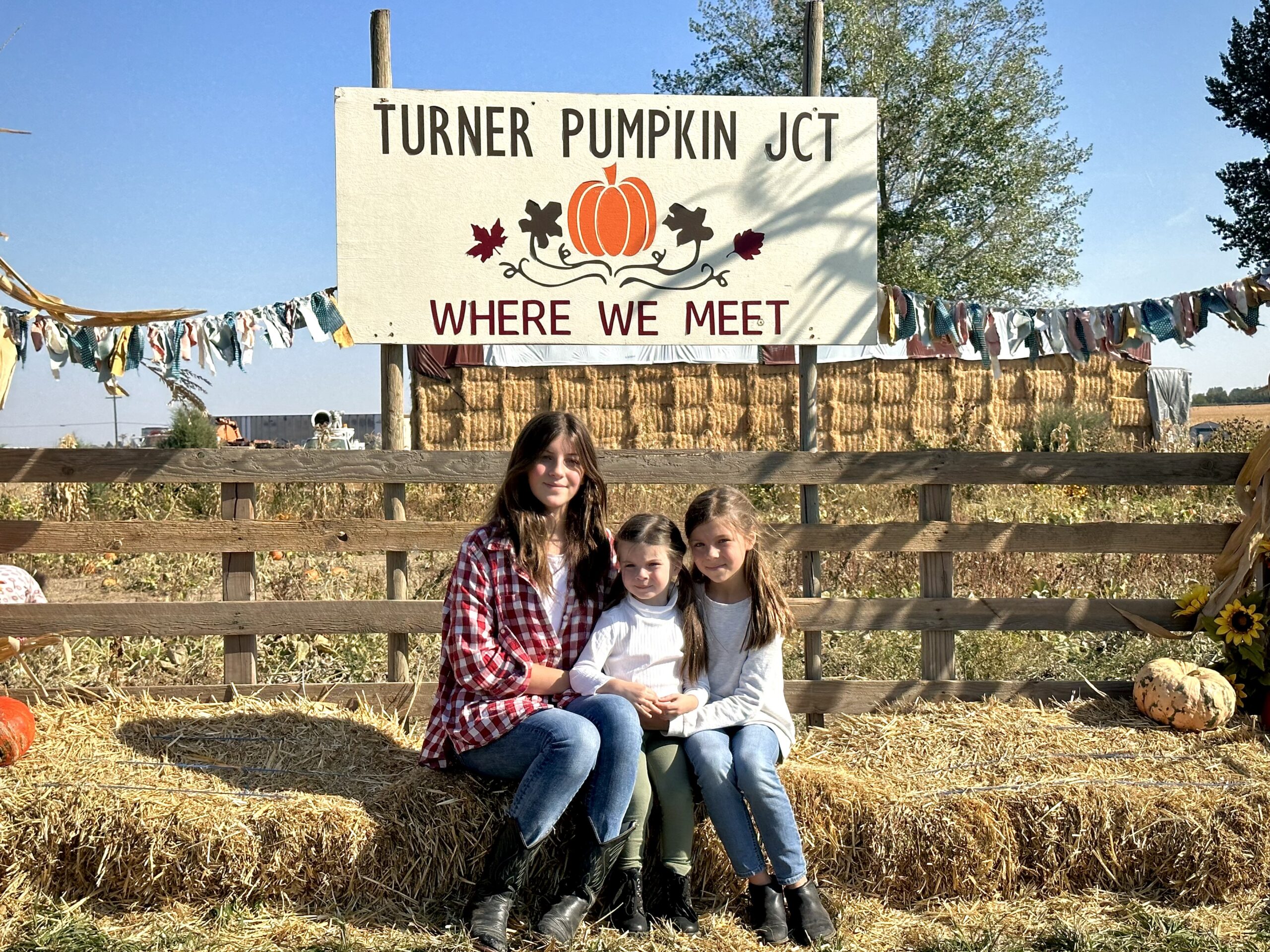 Turner pumpkin junction -101