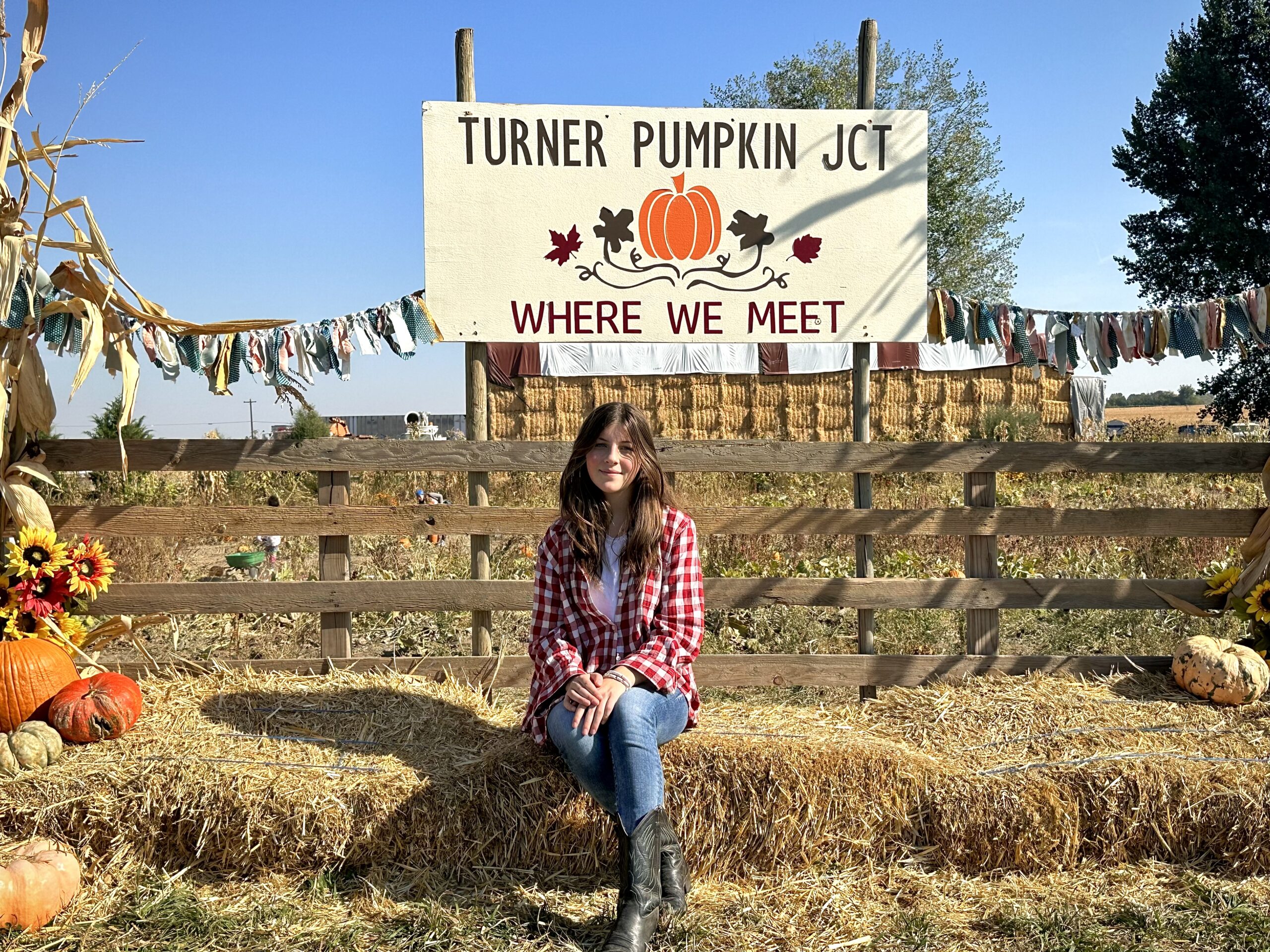 Turner pumpkin junction -103