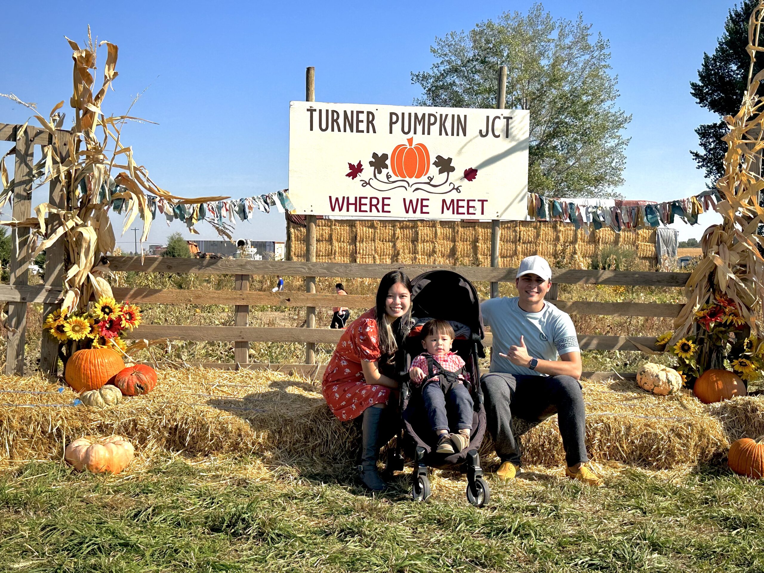 Turner pumpkin junction -122