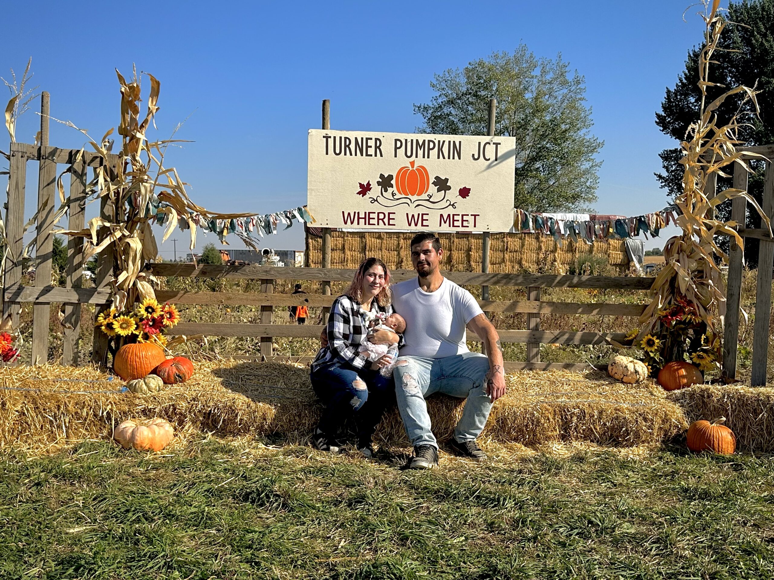 Turner pumpkin junction -129