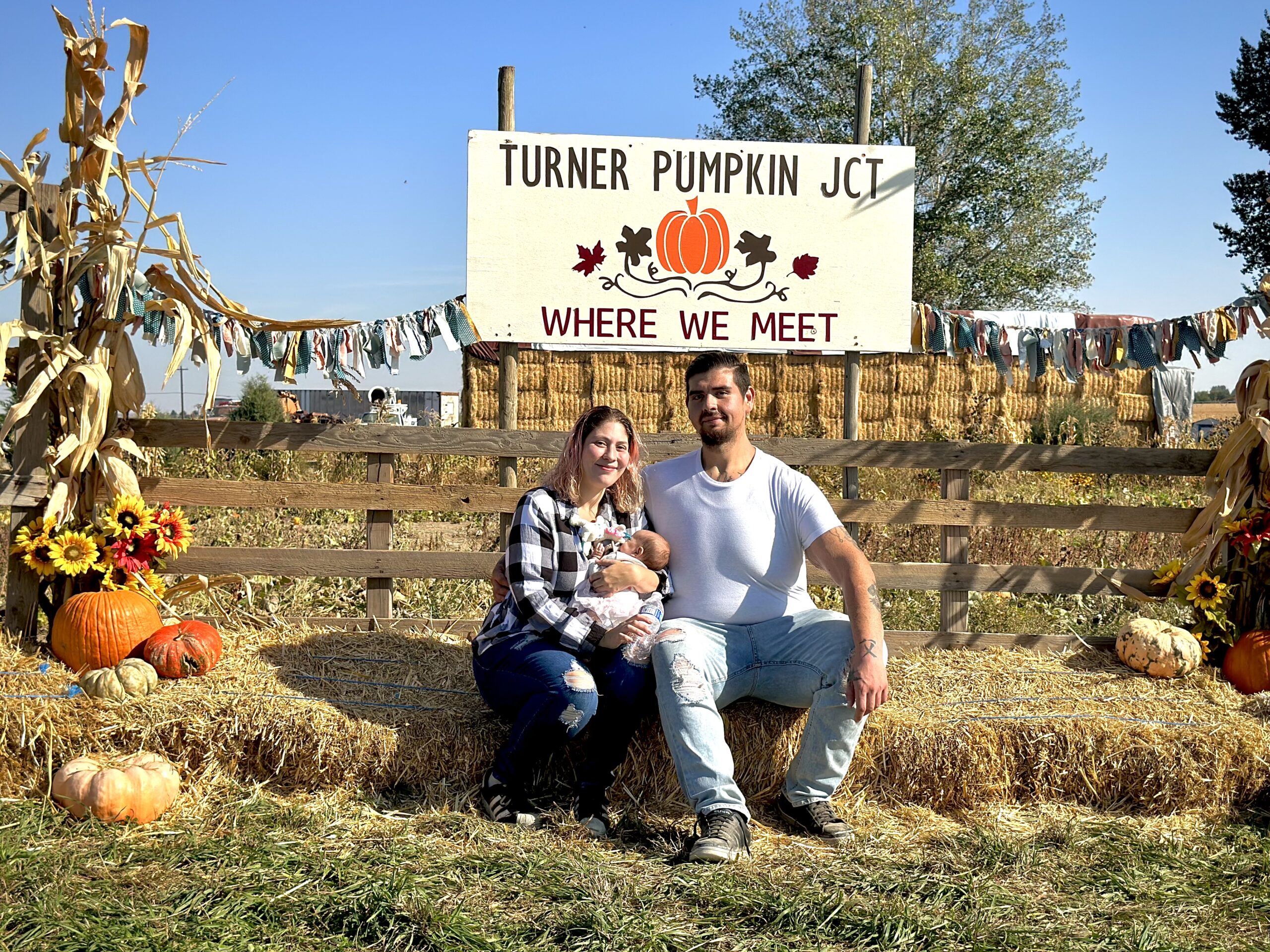 Turner pumpkin junction -130